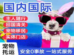 王村机场空运国际宠物托运 【国